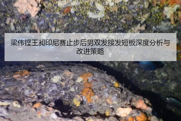 梁伟铿王昶印尼赛止步后男双发接发短板深度分析与改进策略